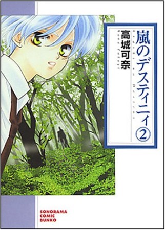 嵐のデスティニィ 新版2巻の表紙