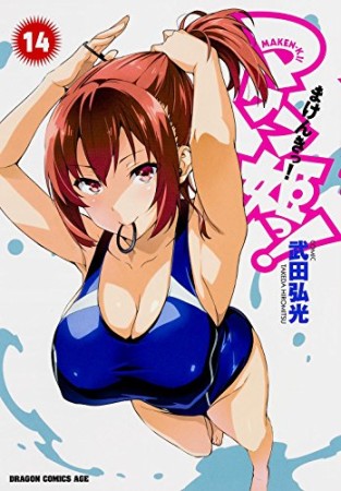 マケン姫っ! -MAKEN‐KI!-14巻の表紙