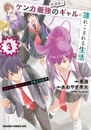 放課後はケンカ最強のギャルに連れこまれる生活　彼女たちに好かれて、僕も最強に!?3巻の表紙