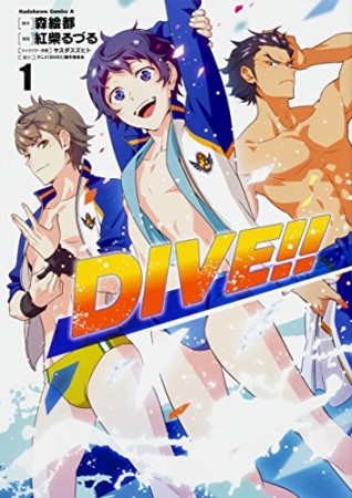 DIVE!!1巻の表紙