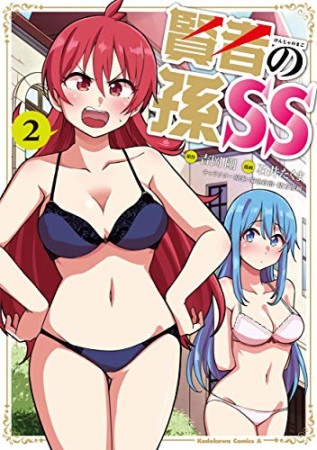 賢者の孫SS2巻の表紙