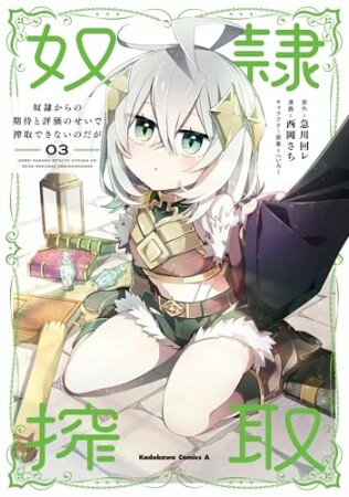 奴隷からの期待と評価のせいで搾取できないのだが3巻の表紙