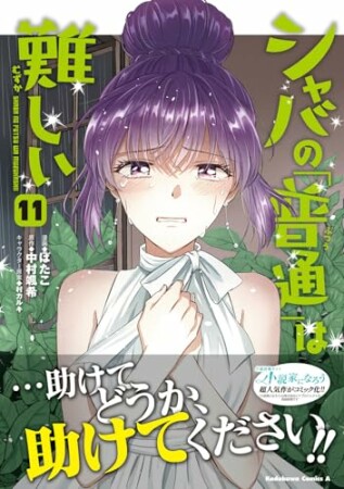 シャバの「普通」は難しい11巻の表紙