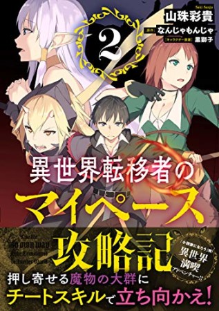 異世界転移者のマイペース攻略記2巻の表紙