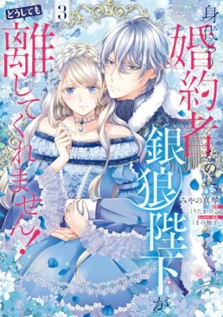 身代わり婚約者なのに、銀狼陛下がどうしても離してくれません！3巻の表紙