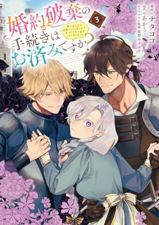 婚約破棄の手続きはお済みですか? 第二の人生を謳歌しようと思ったら、ギルドを立て直すことになりました3巻の表紙