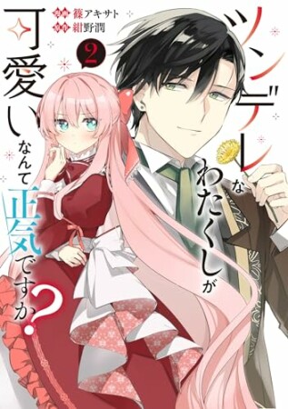 ツンデレなわたくしが可愛いなんて正気ですか?2巻の表紙