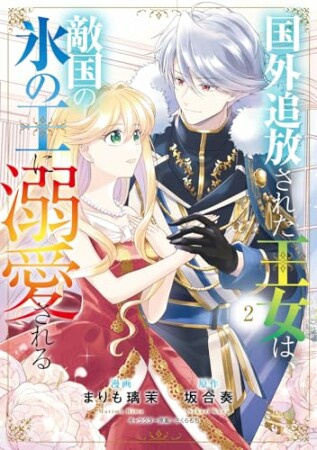 国外追放された王女は、敵国の氷の王に溺愛される2巻の表紙