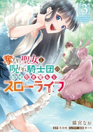 奪われ聖女と呪われ騎士団の聖域引き篭もりスローライフ3巻の表紙