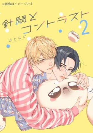 針鼠とコントラスト2巻の表紙