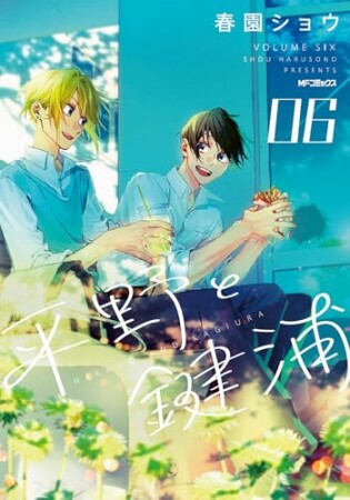 平野と鍵浦6巻の表紙