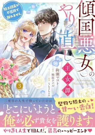 傾国悪女のやり直し王女譚3巻の表紙