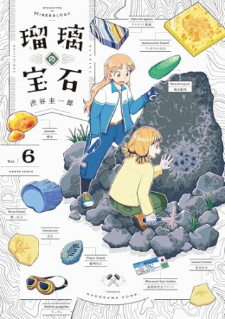 瑠璃の宝石6巻の表紙