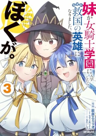 妹が女騎士学園に入学したらなぜか救国の英雄になりました。ぼくが。3巻の表紙