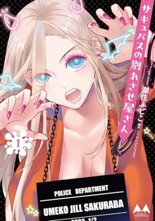 サキュバスの別れさせ屋さん1巻の表紙