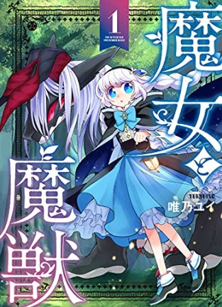 魔女と魔獣１1巻の表紙