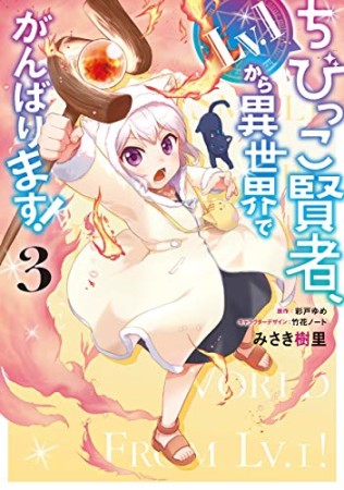 ちびっこ賢者、Lv.1から異世界でがんばります！3巻の表紙
