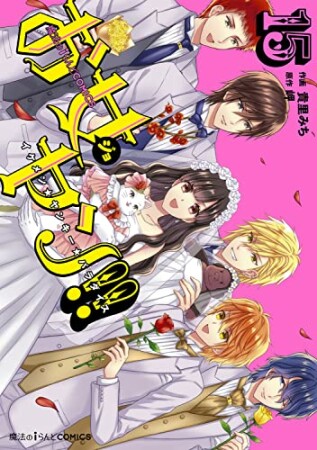 お女ヤン!! イケメン☆ヤンキー☆パラダイス15巻の表紙