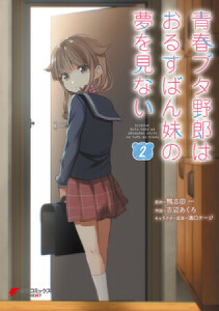 青春ブタ野郎はおるすばん妹の夢を見ない2巻の表紙