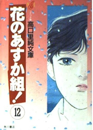 文庫版 花のあすか組!12巻の表紙