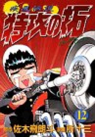 新書版 疾風伝説特攻の拓12巻の表紙