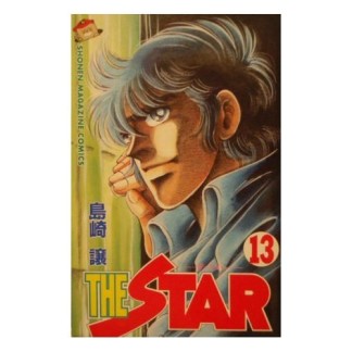 THE STAR13巻の表紙