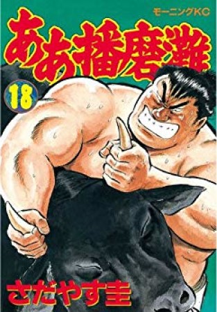 ああ播磨灘18巻の表紙