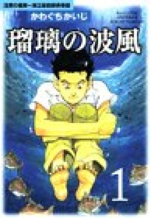 瑠璃の波風1巻の表紙