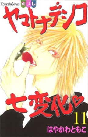 ヤマトナデシコ七変化11巻の表紙
