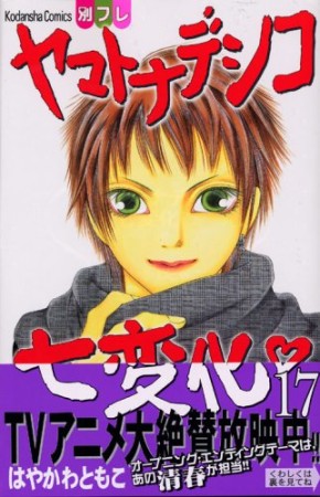 ヤマトナデシコ七変化17巻の表紙