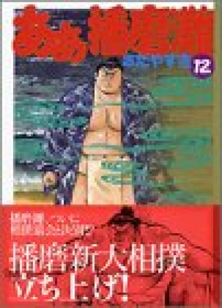 文庫版 ああ播磨灘12巻の表紙