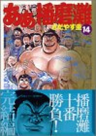 文庫版 ああ播磨灘14巻の表紙