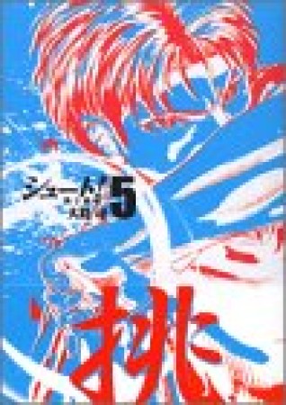 文庫版 シュート！ 熱き挑戦5巻の表紙