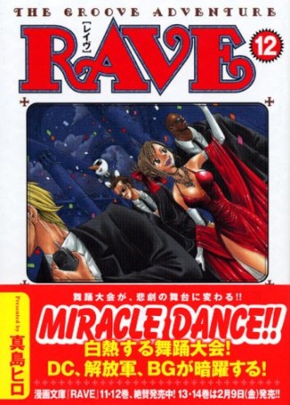 文庫版 Rave12巻の表紙