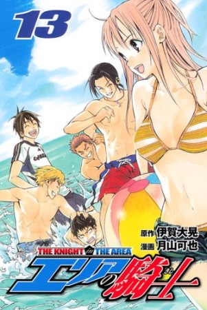 エリアの騎士13巻の表紙