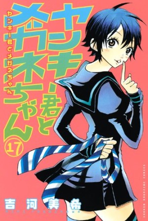 ヤンキー君とメガネちゃん17巻の表紙