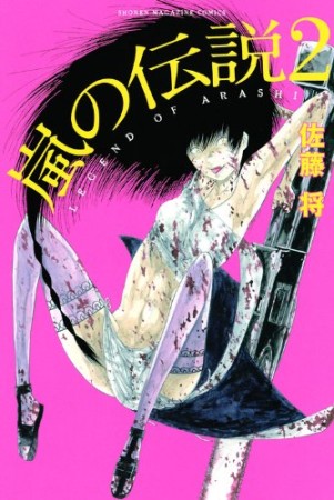 嵐の伝説2巻の表紙