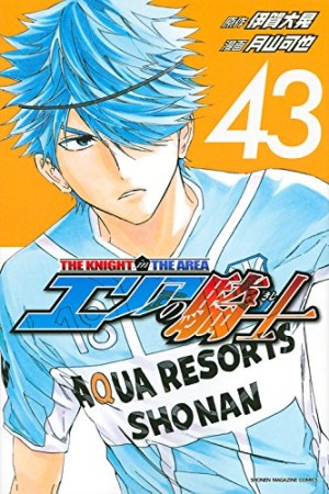 エリアの騎士43巻の表紙