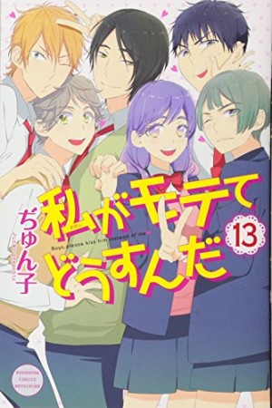 私がモテてどうすんだ13巻の表紙