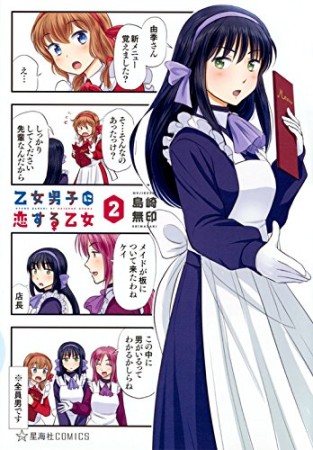 乙女男子に恋する乙女2巻の表紙