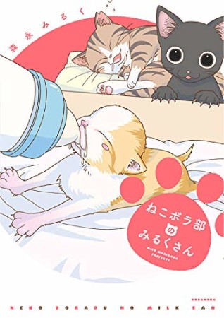 ねこボラ部のみるくさん1巻の表紙