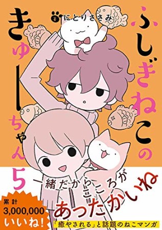 ふしぎねこのきゅーちゃん5巻の表紙