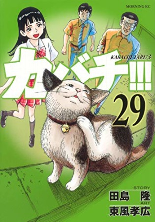 カバチ!!!　－カバチタレ！３－29巻の表紙