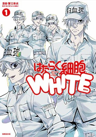 はたらく細胞WHITE1巻の表紙