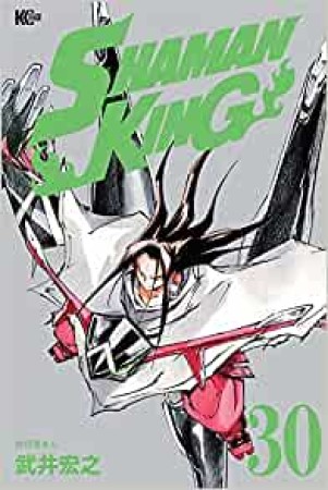 新装版 SHAMAN KING30巻の表紙