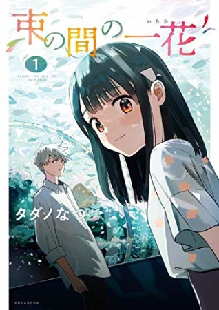 束の間の一花1巻の表紙