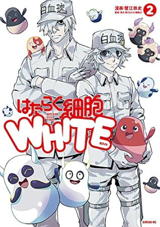 はたらく細胞WHITE2巻の表紙