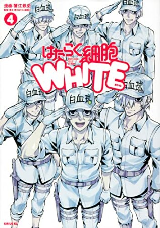 はたらく細胞WHITE4巻の表紙