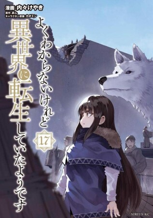 よくわからないけれど異世界に転生していたようです17巻の表紙