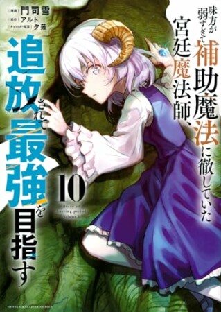 味方が弱すぎて補助魔法に徹していた宮廷魔法師、追放されて最強を目指す10巻の表紙